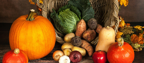 Health and Wellness Versal Pro Health